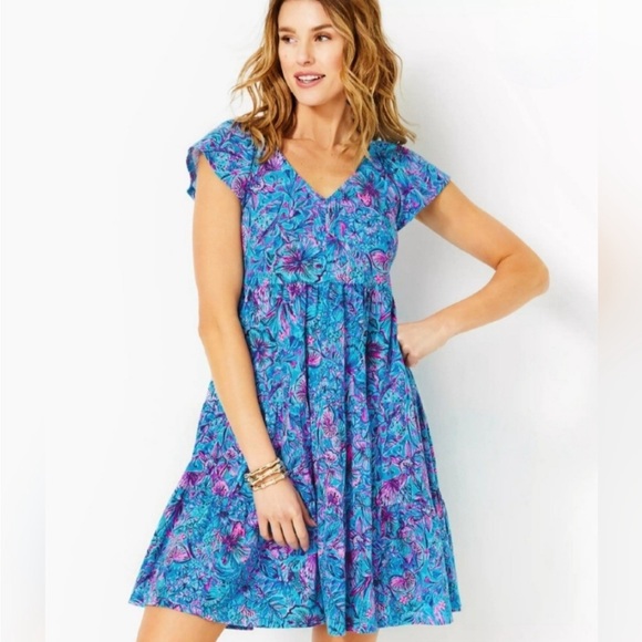 RARE! Lilly Pulitzer Dress - Picture 4 of 6